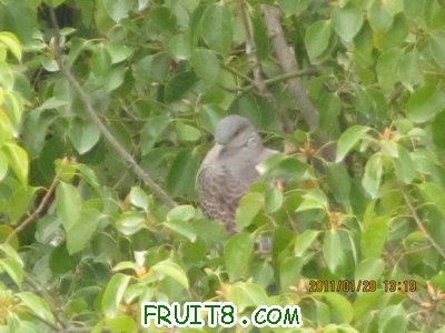 IMG_9139.JPG