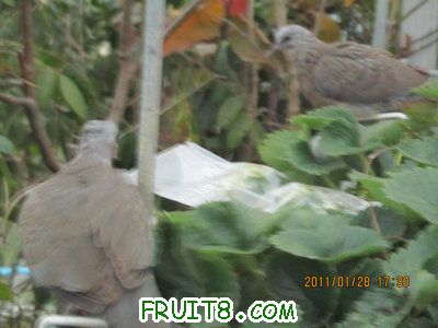 IMG_9200.JPG