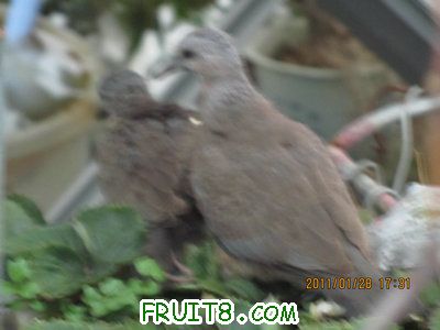 IMG_9206.JPG