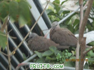 IMG_9218.JPG