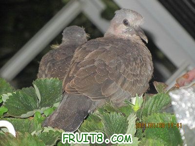 IMG_9262.JPG