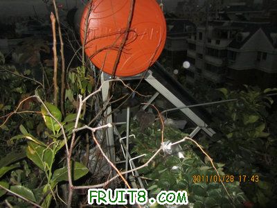 IMG_9271.JPG