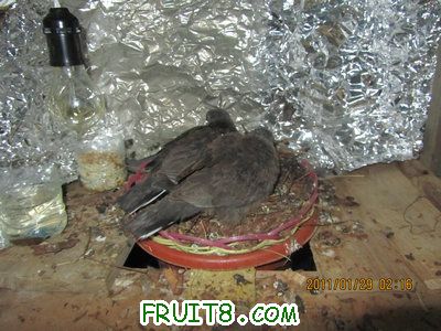 IMG_9284.JPG