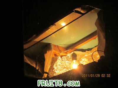 IMG_9323.JPG