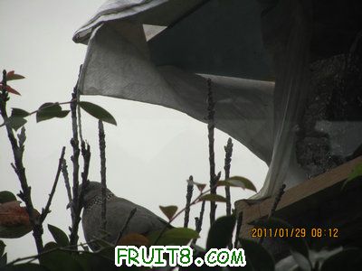 IMG_9326.JPG