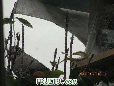 IMG_9324.JPG