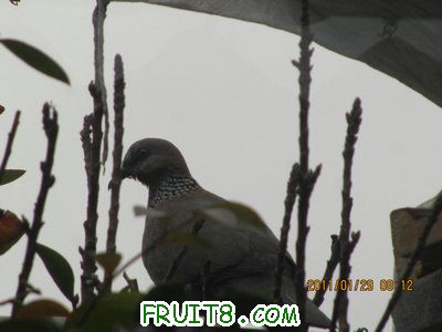 IMG_9328.JPG