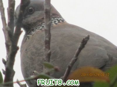 IMG_9327.JPG