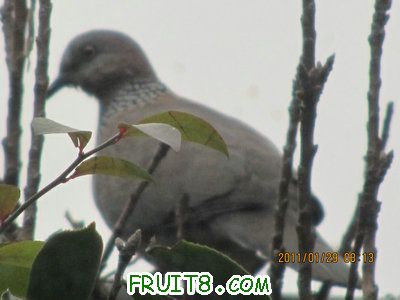IMG_9329.JPG