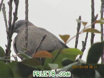 IMG_9325.JPG