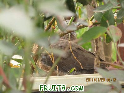 IMG_9333.JPG