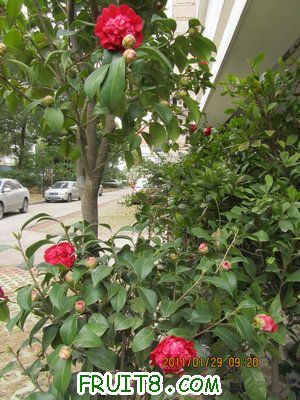 IMG_9362.JPG