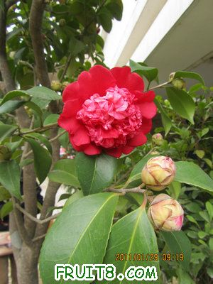 IMG_9359.JPG