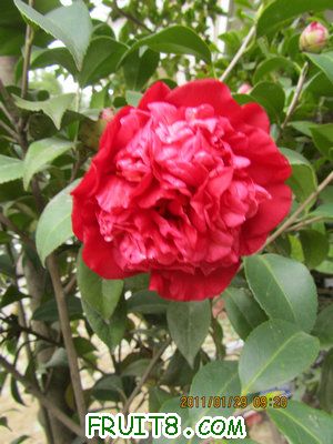IMG_9360.JPG