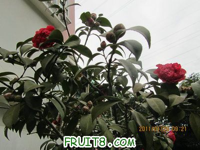 IMG_9370.JPG
