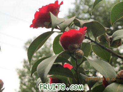 IMG_9374.JPG