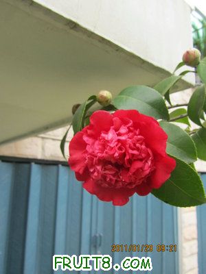 IMG_9368.JPG