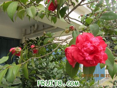 IMG_9369.JPG