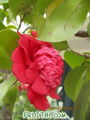 IMG_9367.JPG