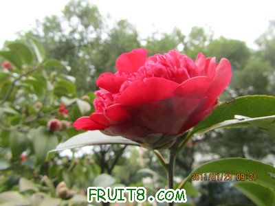 IMG_9372.JPG