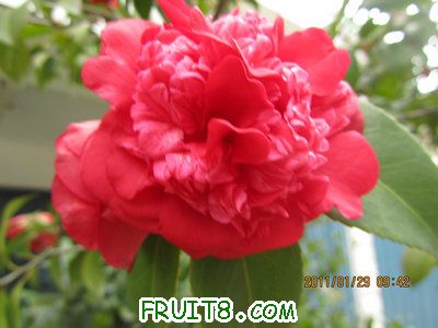 IMG_9381.JPG