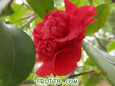 IMG_9373.JPG