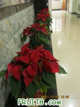 IMG_9789.JPG