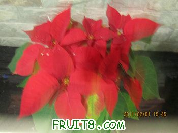 IMG_9790.JPG