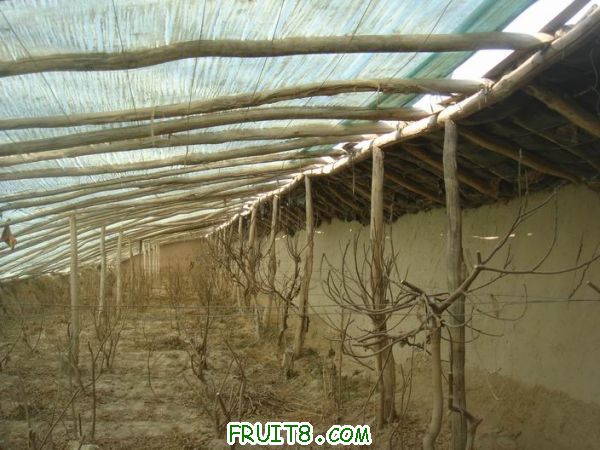 Resize of DSC05008.JPG