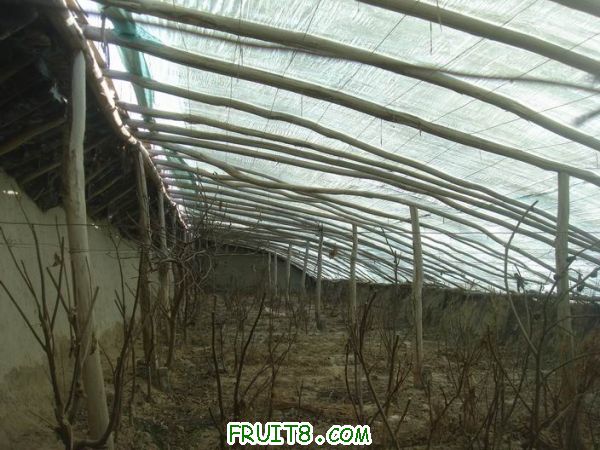 Resize of DSC05003.JPG