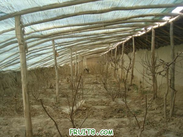 Resize of DSC05009.JPG