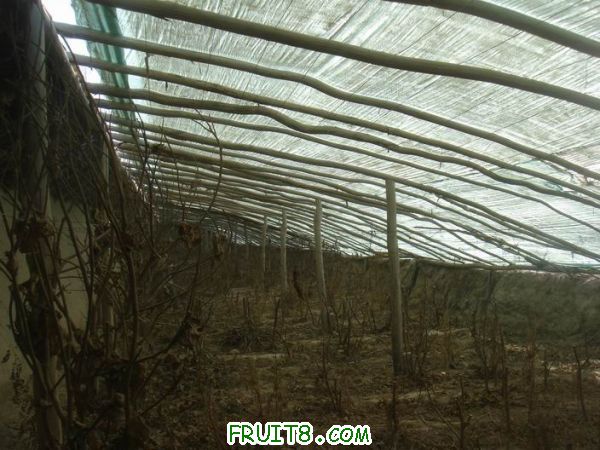 Resize of DSC05000.JPG