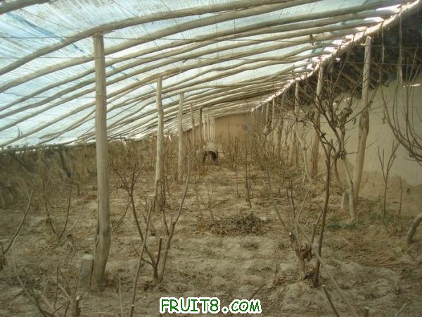 Resize of DSC05010.JPG