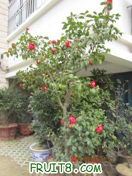 IMG_9794.JPG