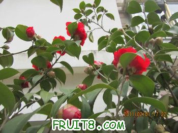 IMG_9801.JPG