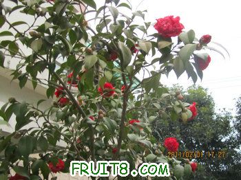 IMG_9827.JPG