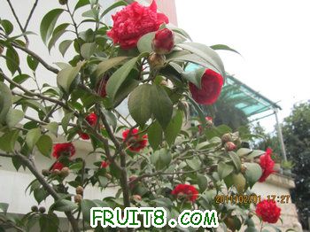 IMG_9826.JPG