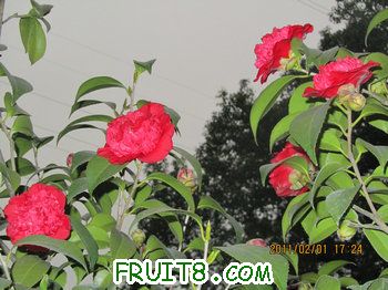 IMG_9816.JPG