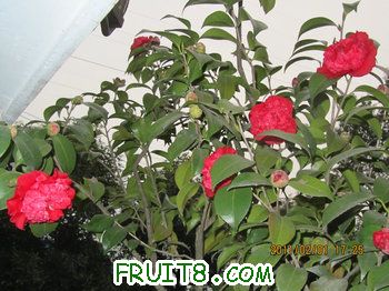 IMG_9818.JPG