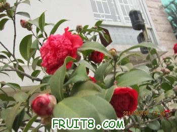 IMG_9823.JPG