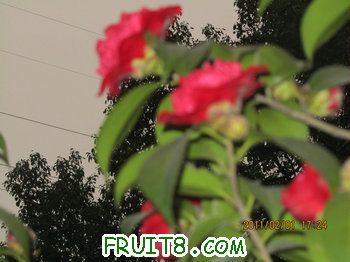 IMG_9817.JPG