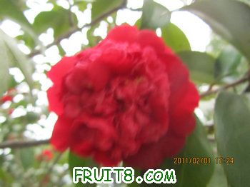 IMG_9815.JPG