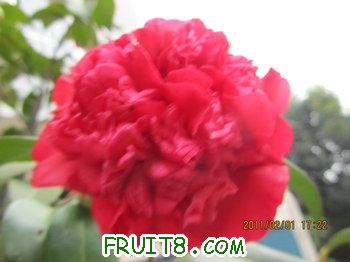 IMG_9802.JPG