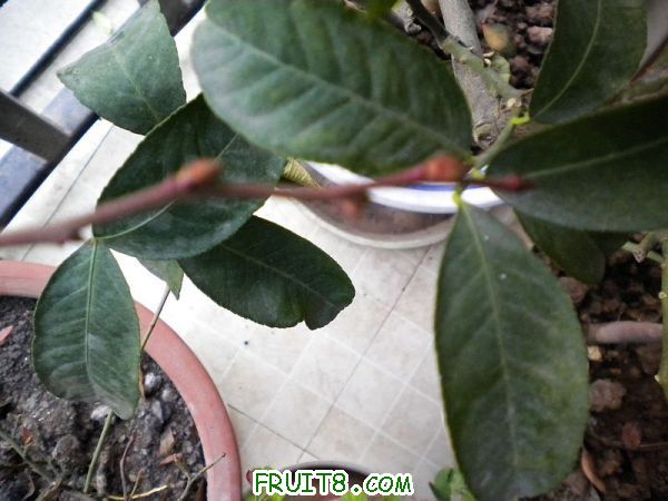 DSCN1805.jpg