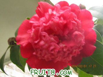 IMG_9825.JPG