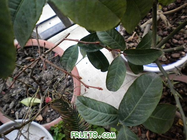 DSCN1806.jpg