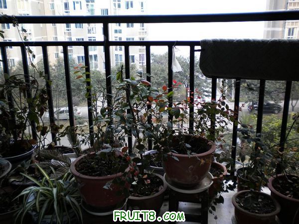 DSCN1810.jpg