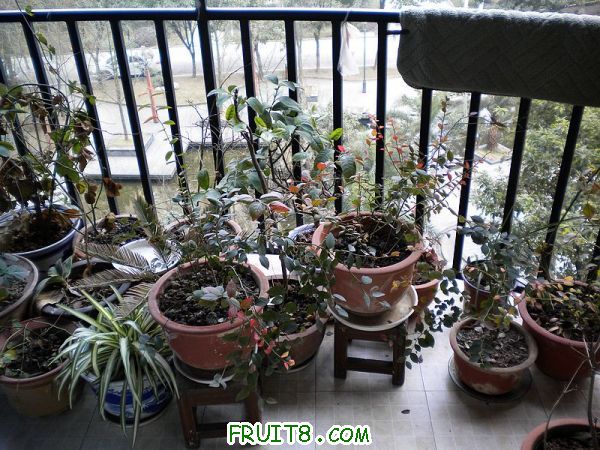 DSCN1809.jpg
