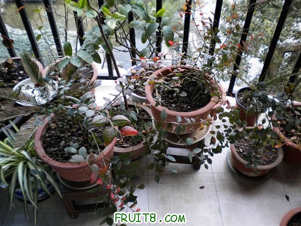 DSCN1786.jpg
