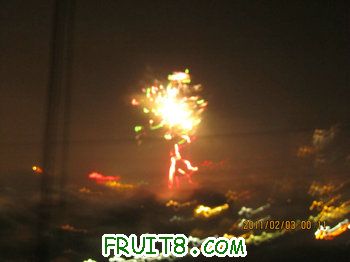 IMG_0218.JPG
